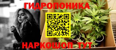 гашик Канаш