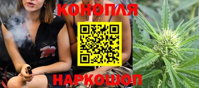 гашик Канаш