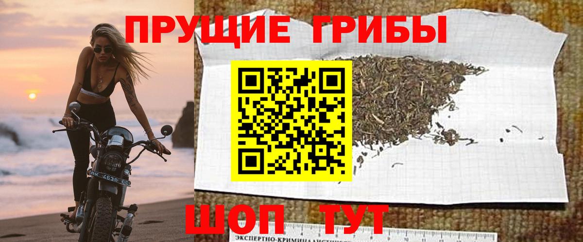 Галлюциногенные грибы Cubensis Иваново